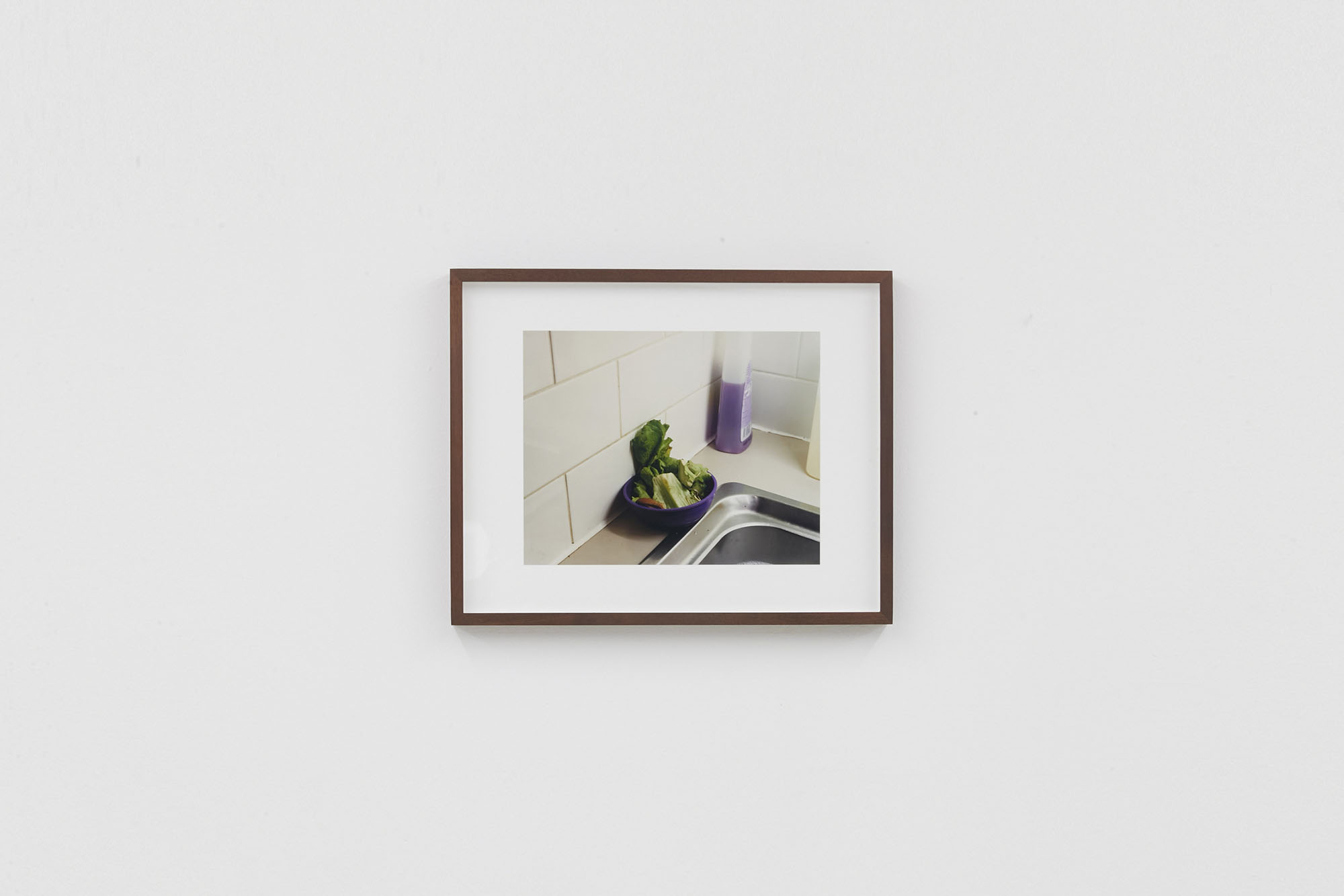 Compost Pictures