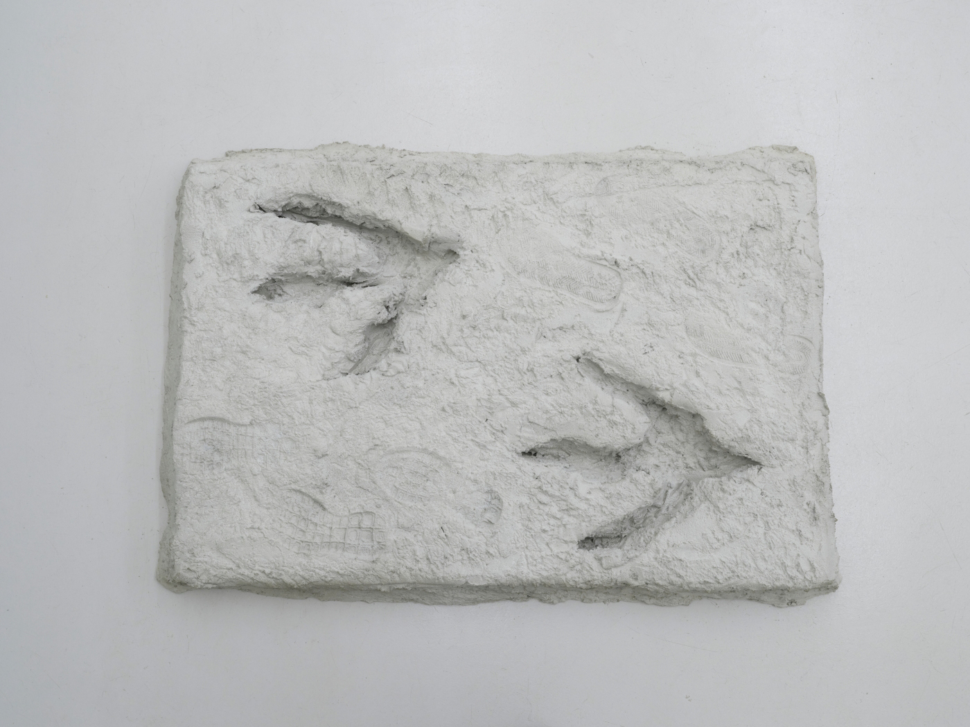 Concrete fossil