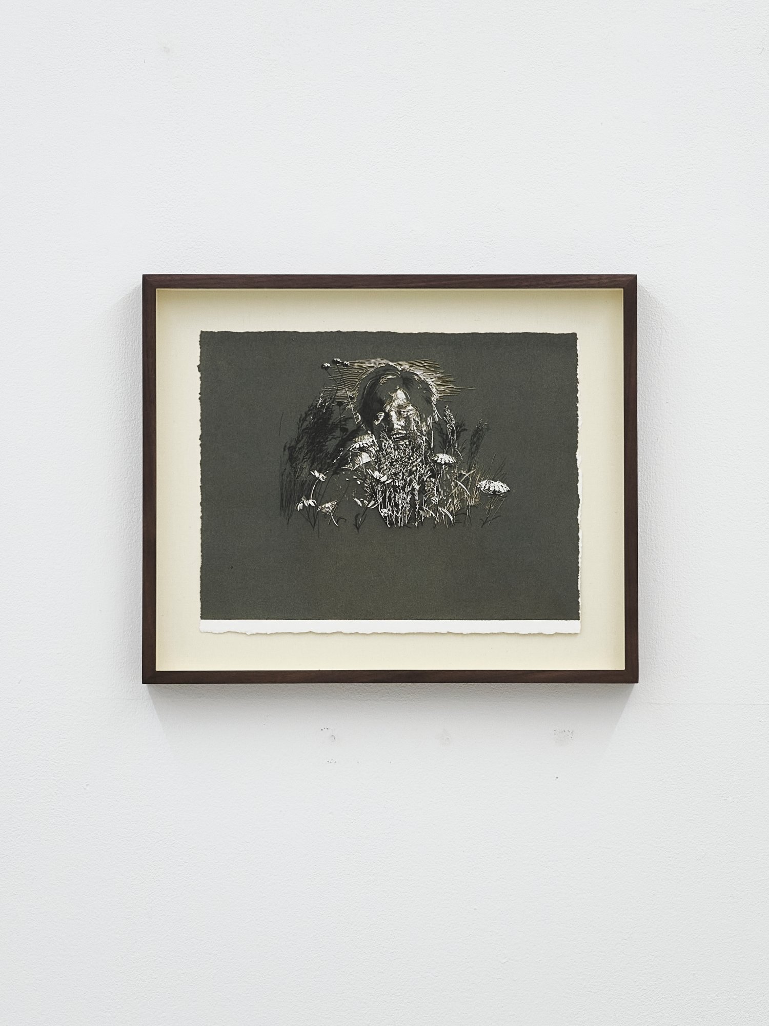 Figure in Field 2