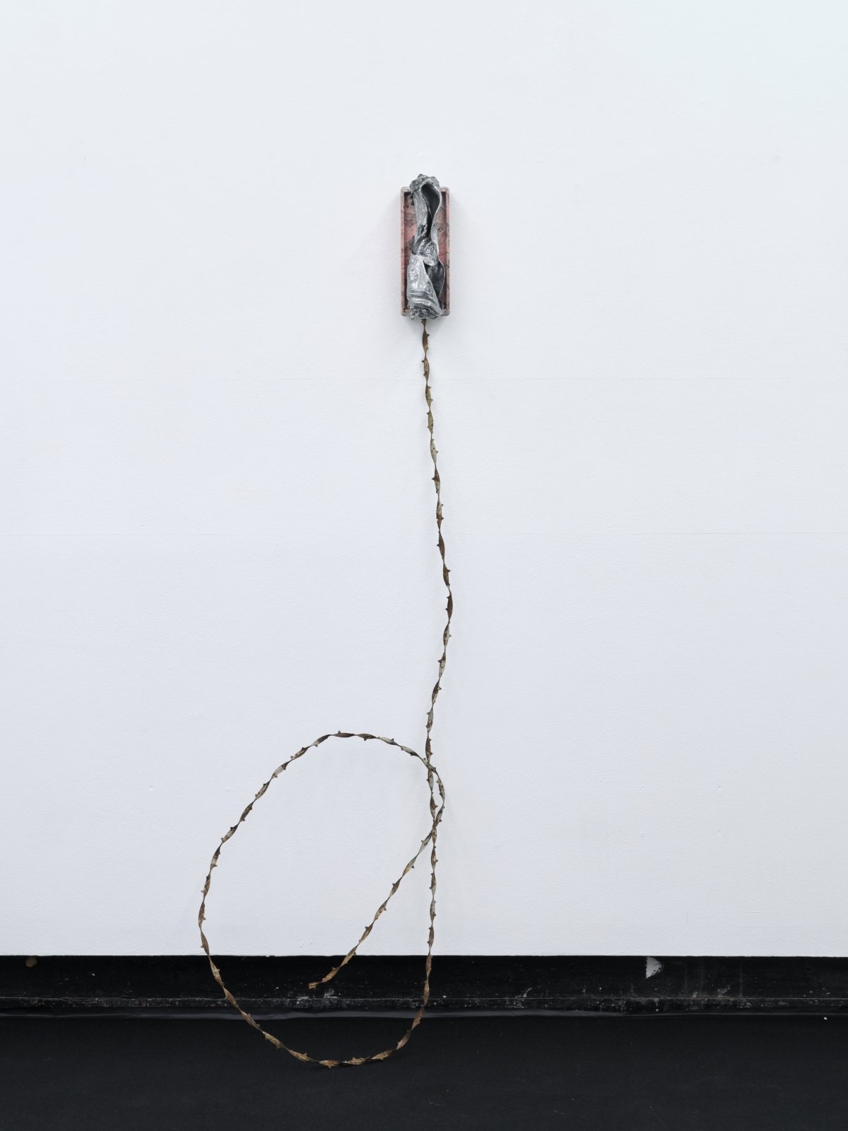 Twisted Pair