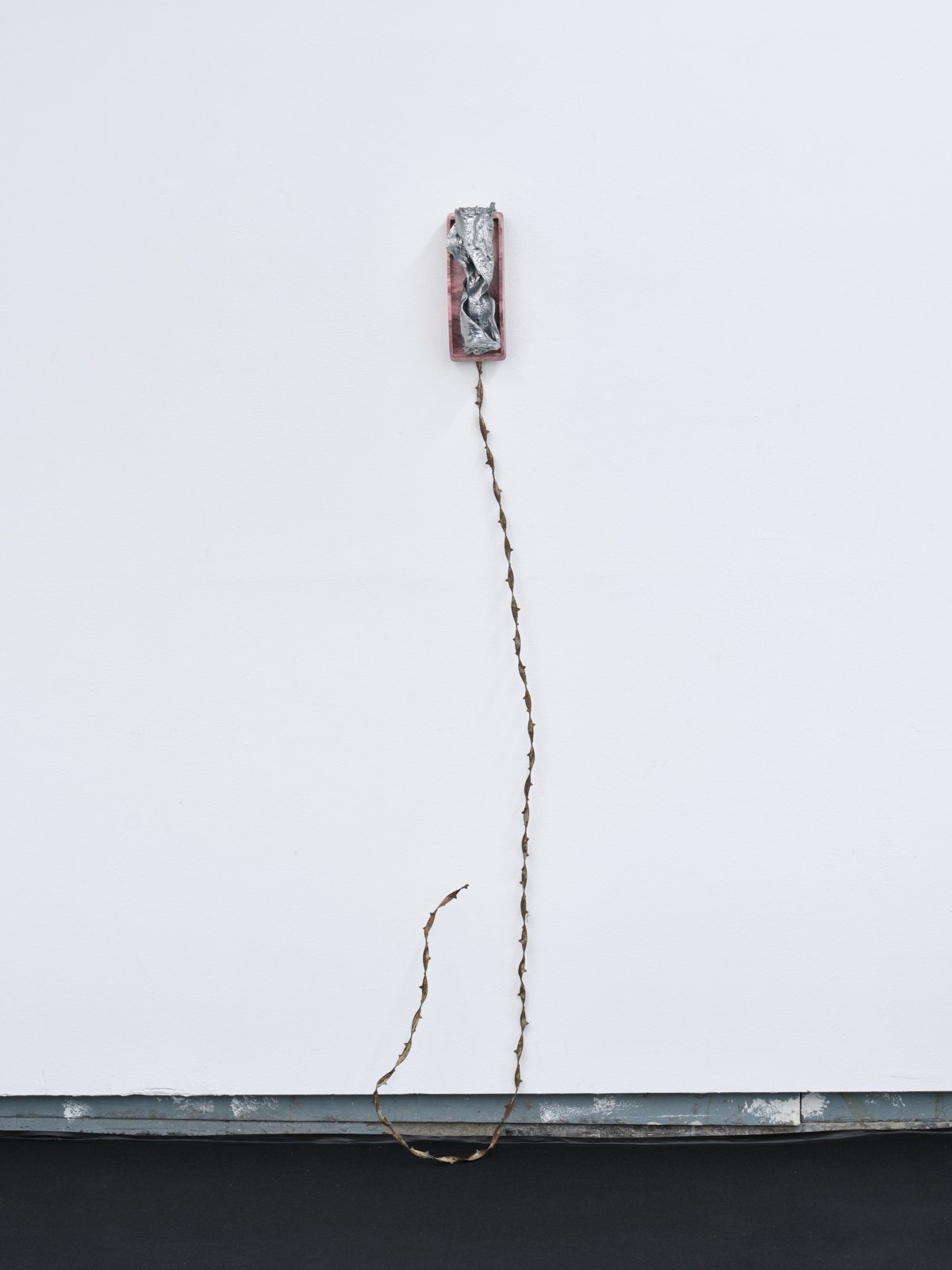 Twisted Pair