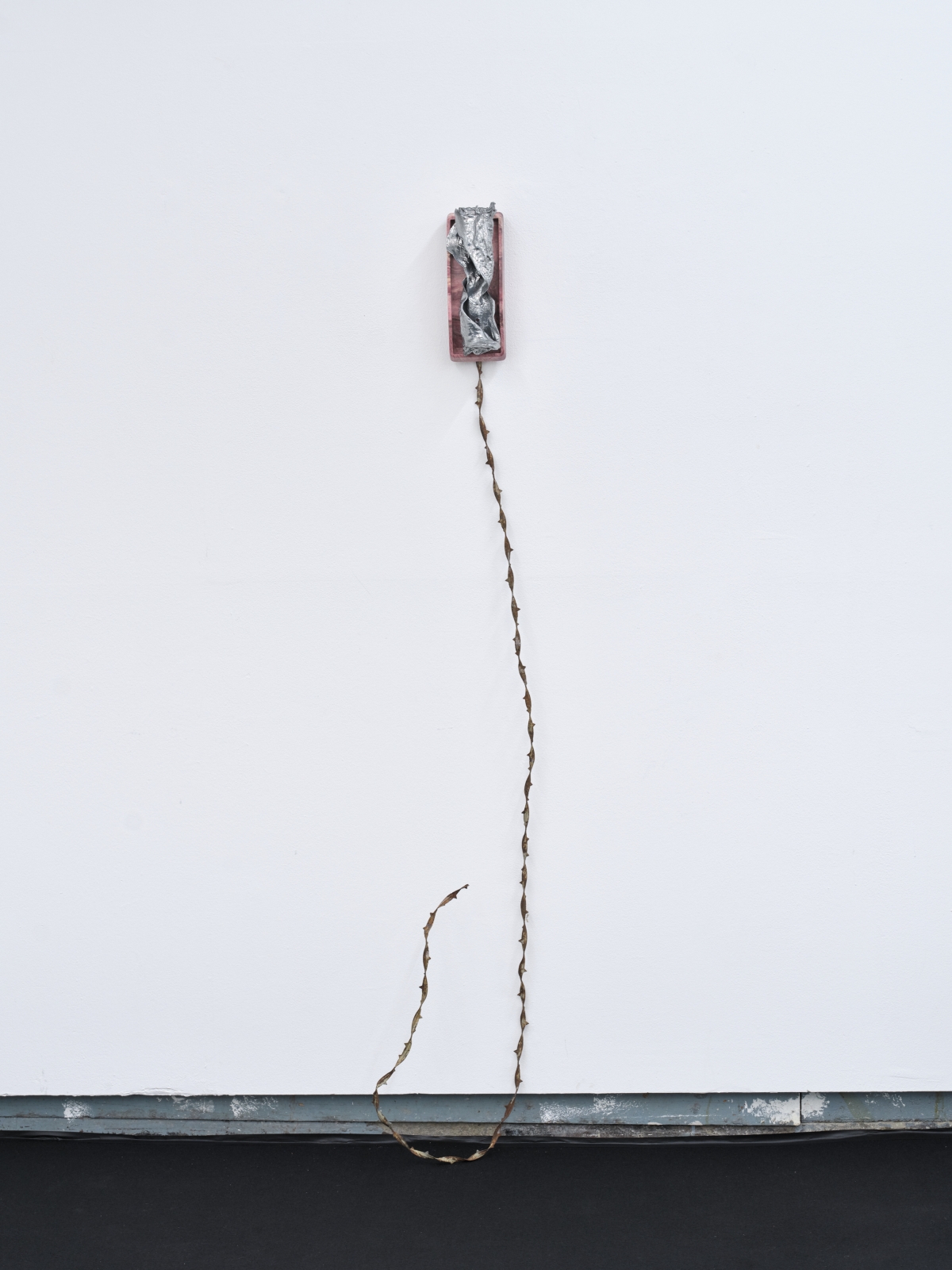 Twisted Pair