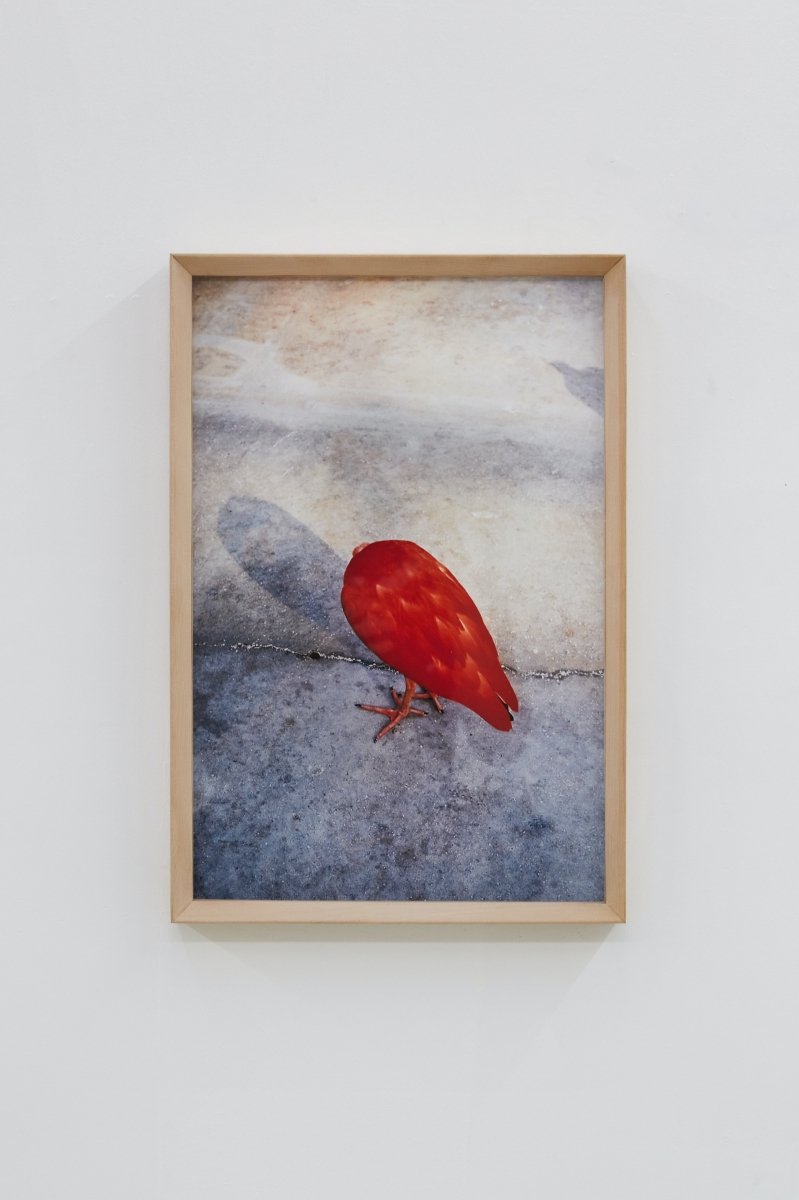 Here and There, Kakegawa #01