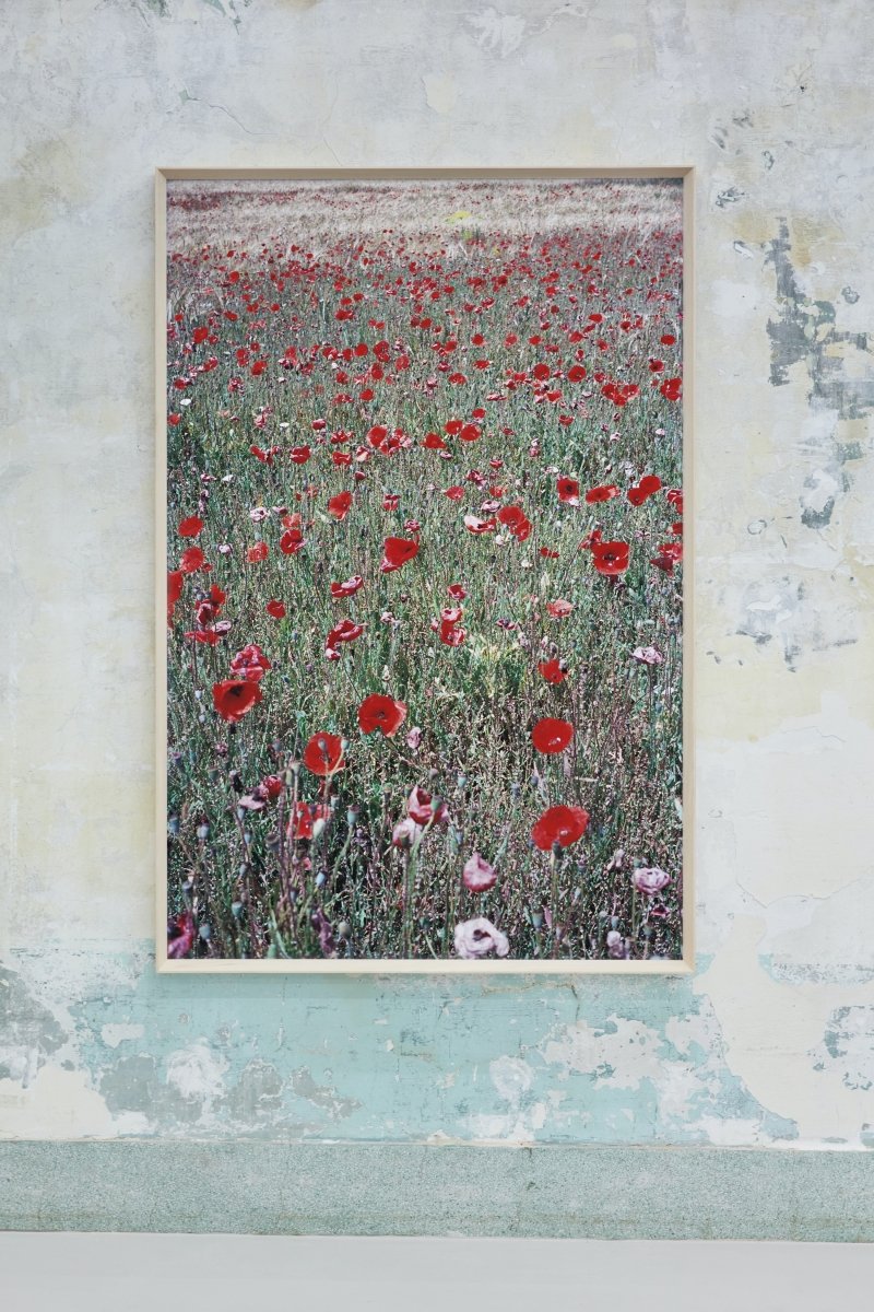 Flowers, Mallorca #21