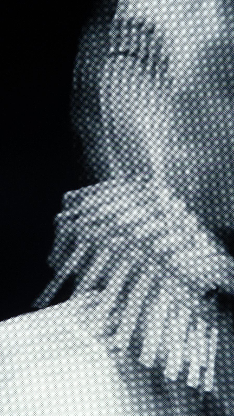 Rather die than let you go