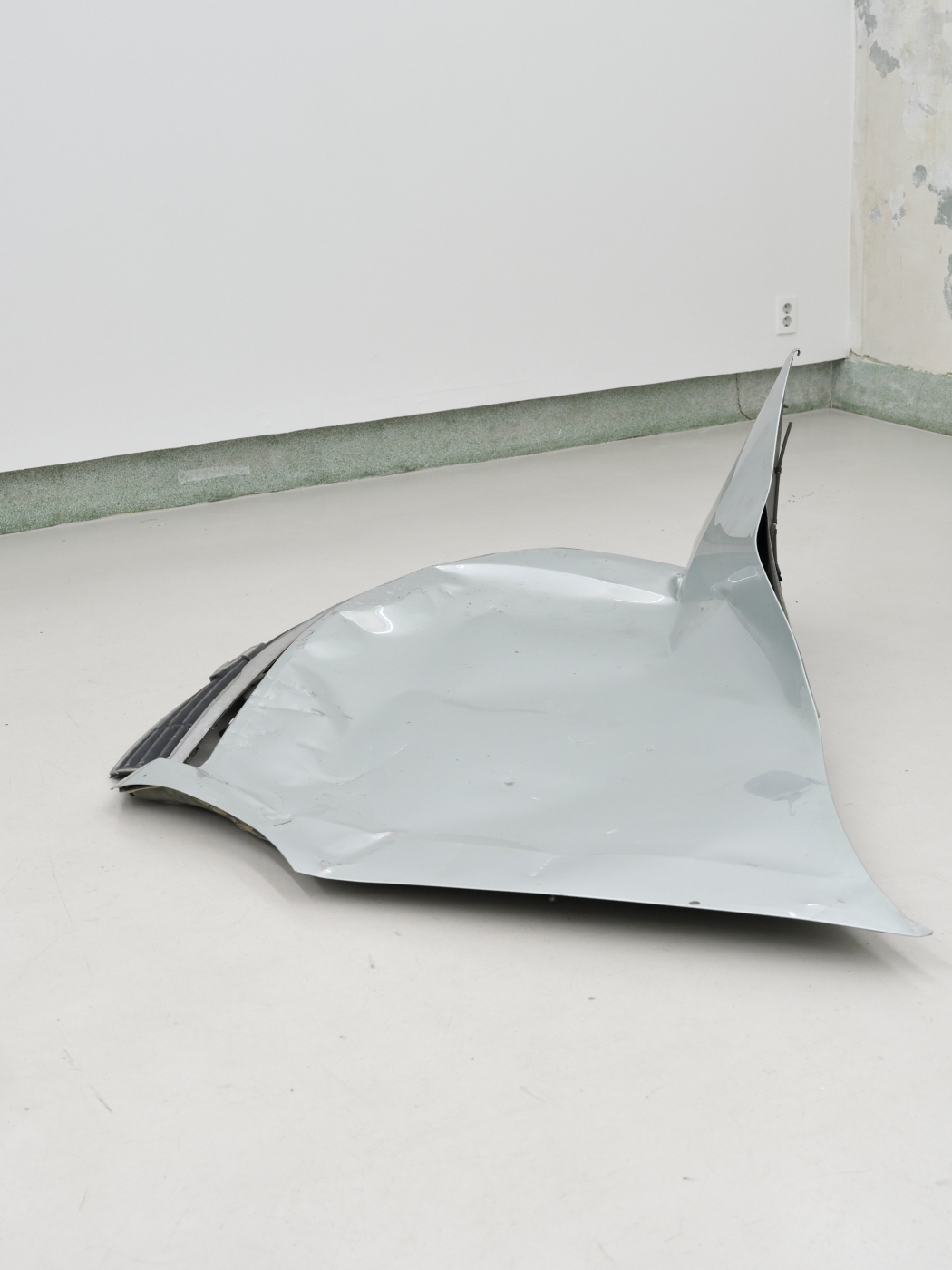 Crushed carbone-Renault