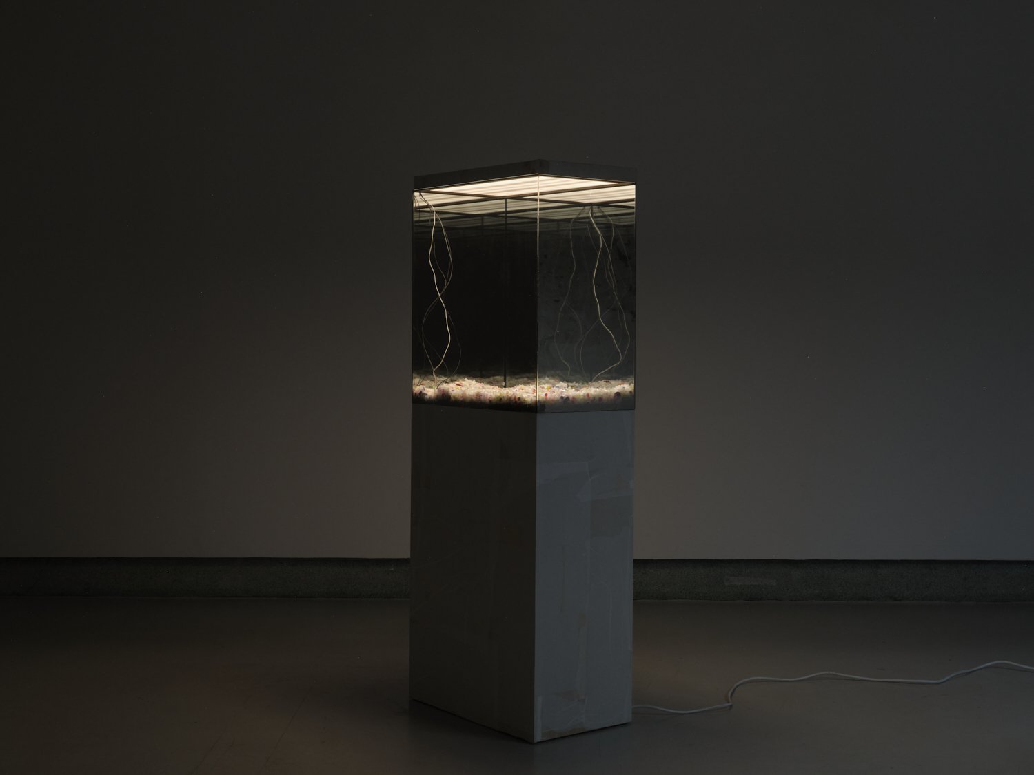 리허설 Rehearsal (ii)