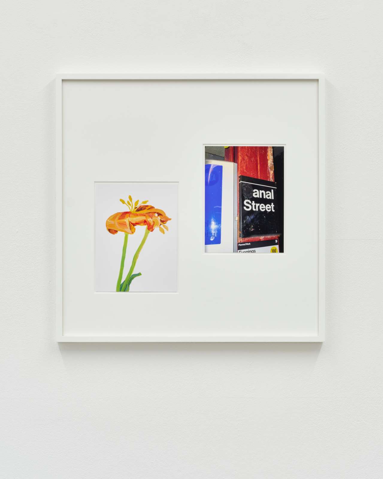 Anal Flower