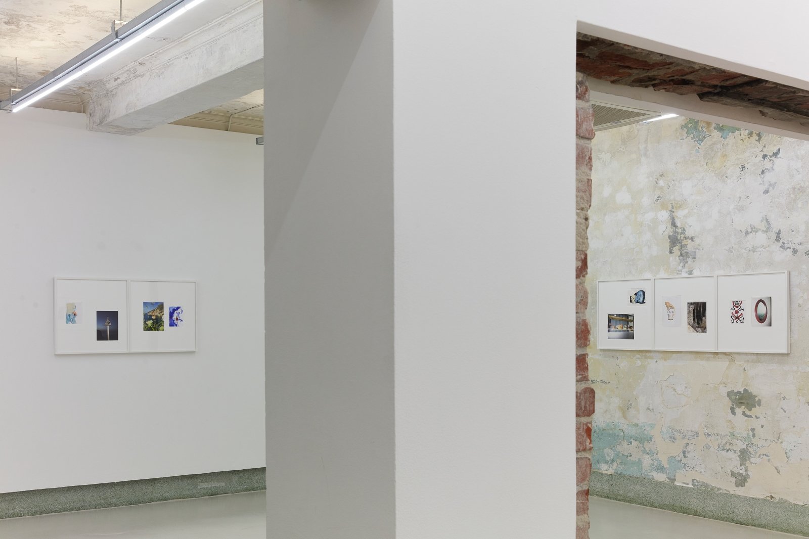 Materials for Legacy: Petty the Pities