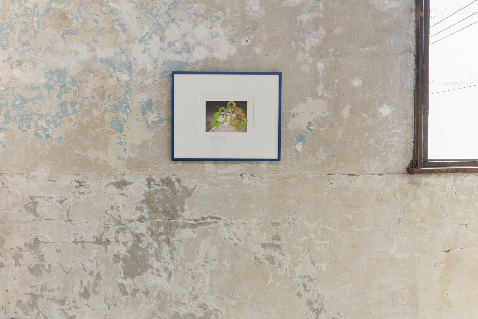 Materials for Legacy: Petty the Pities