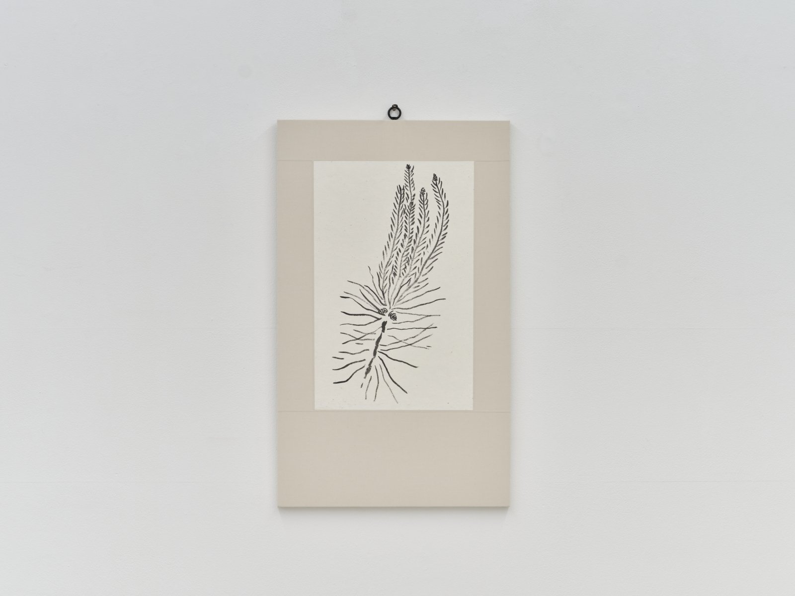 오그라진 것들 / The little one, Kinked (脧)