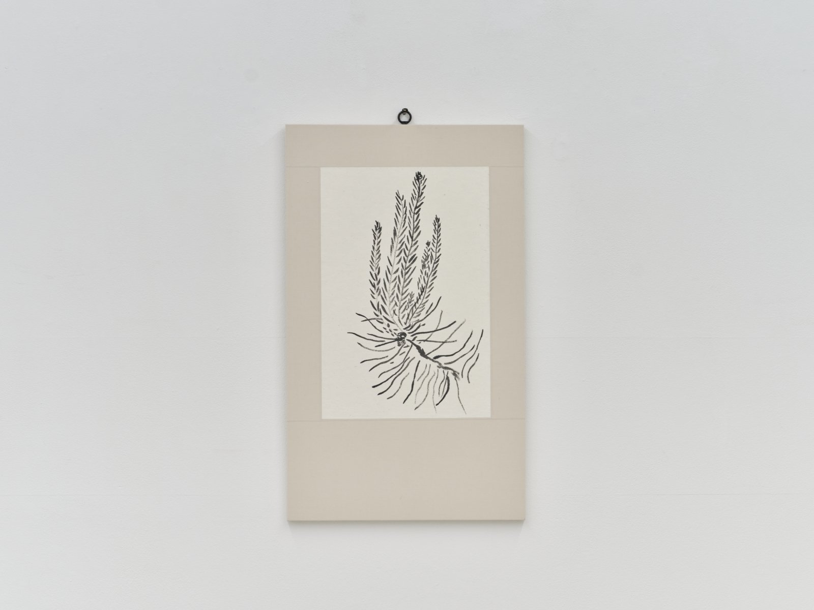 오그라진 것들 / The little one, Kinked (脧)