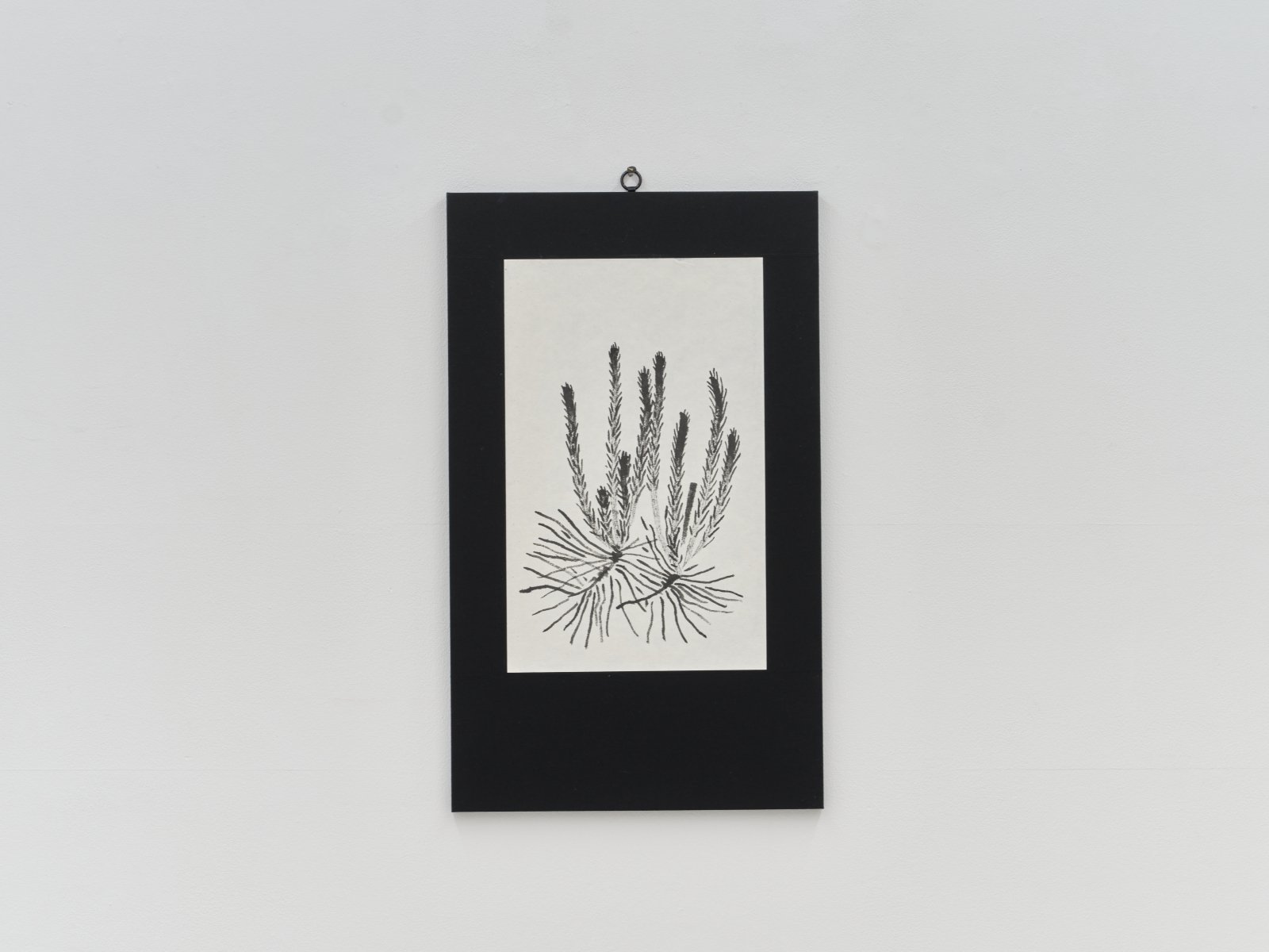 발기한 것들 (䘒) / The little one, Upright (脧)