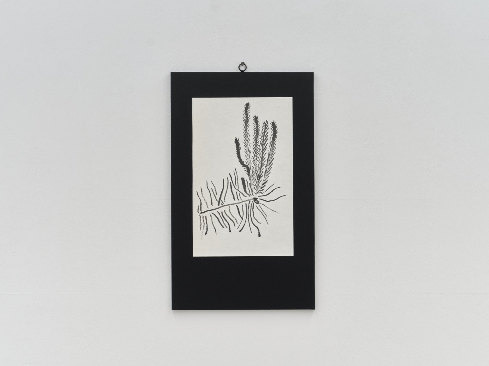 발기한 것들 (䘒) / The little one, Upright (脧)