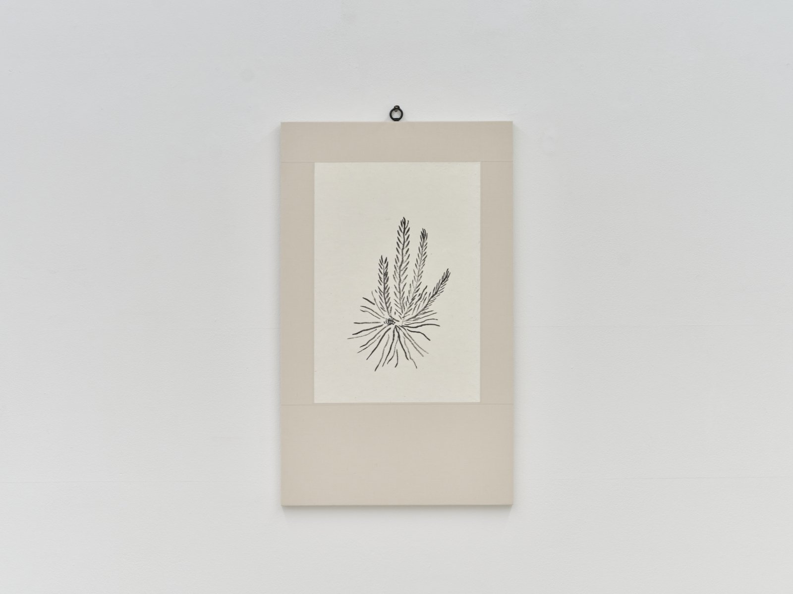 오그라진 것들 / The little one, Kinked (脧)