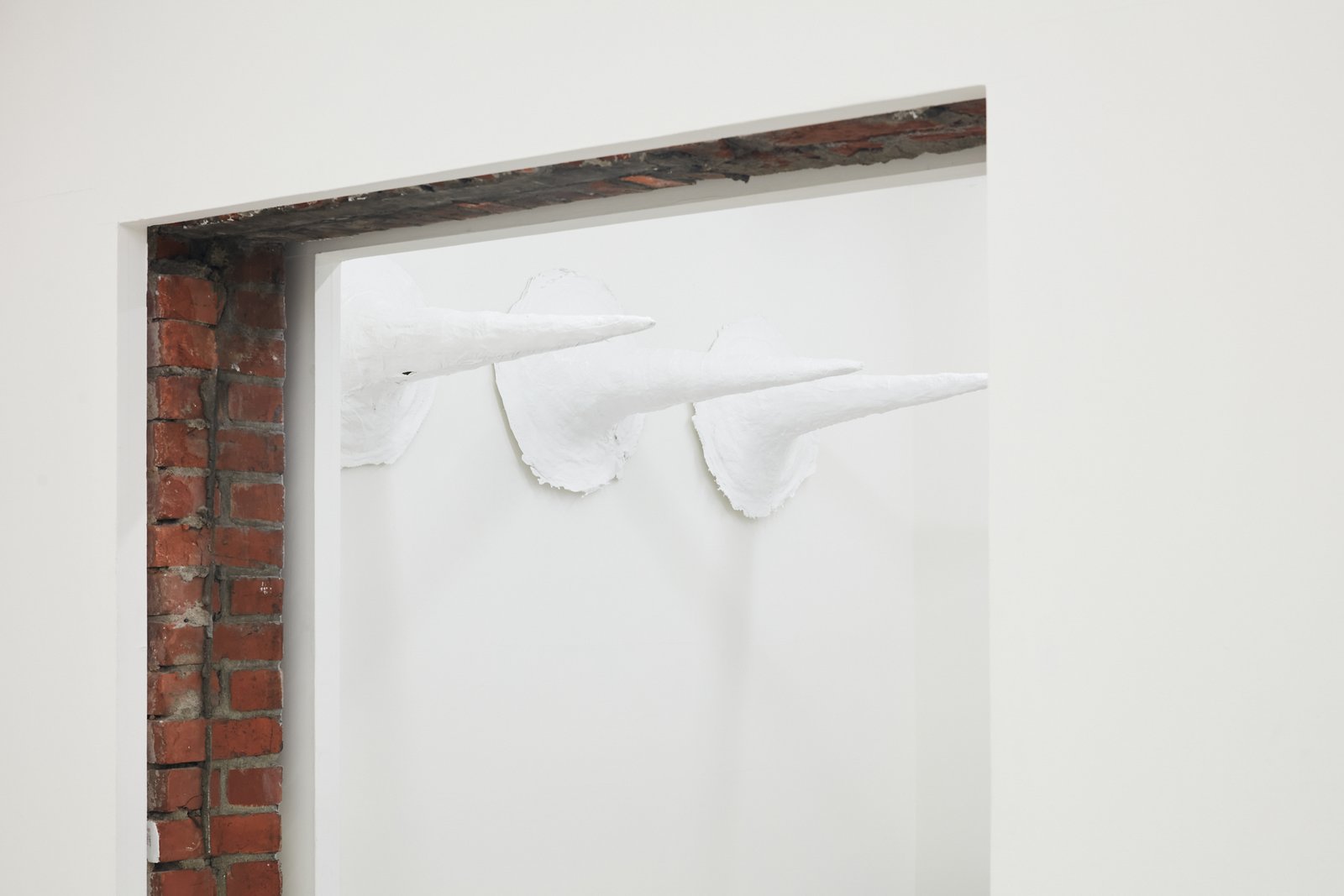 Melting Point