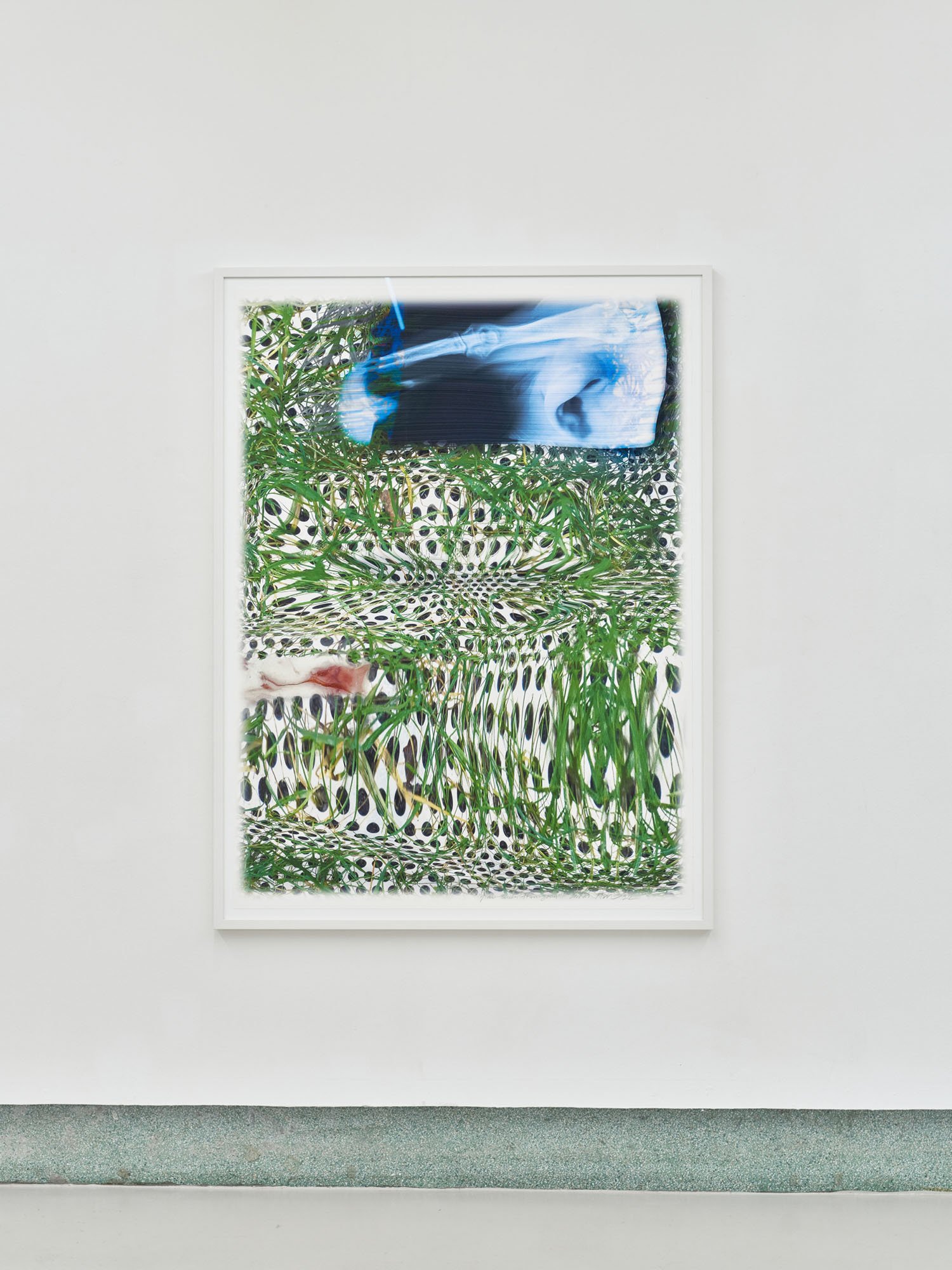 grass-screen-skin: zoom