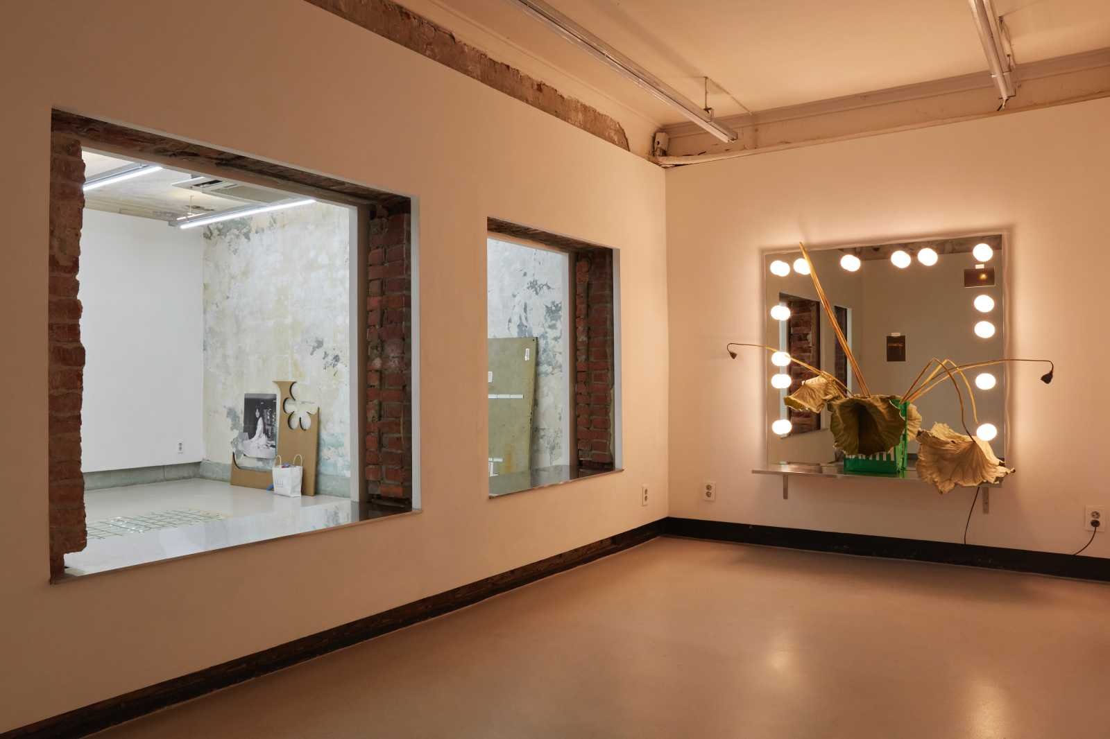 Four disobediences / 네 가지 무례함