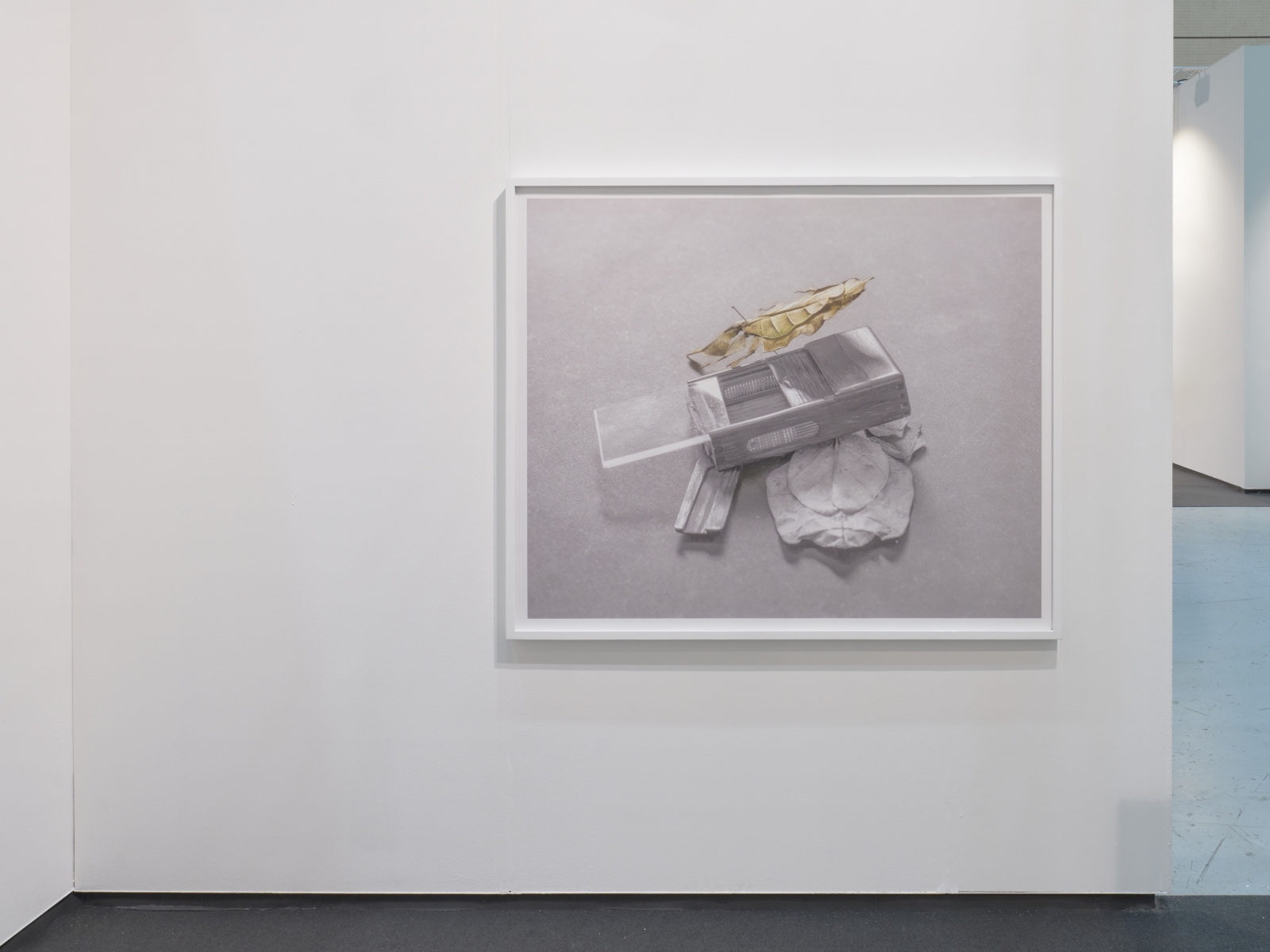 Pinned Gray's Leaves beside a Cricket Cage IV | 귀뚜라미집 주위로 고정한 잎곤충IV