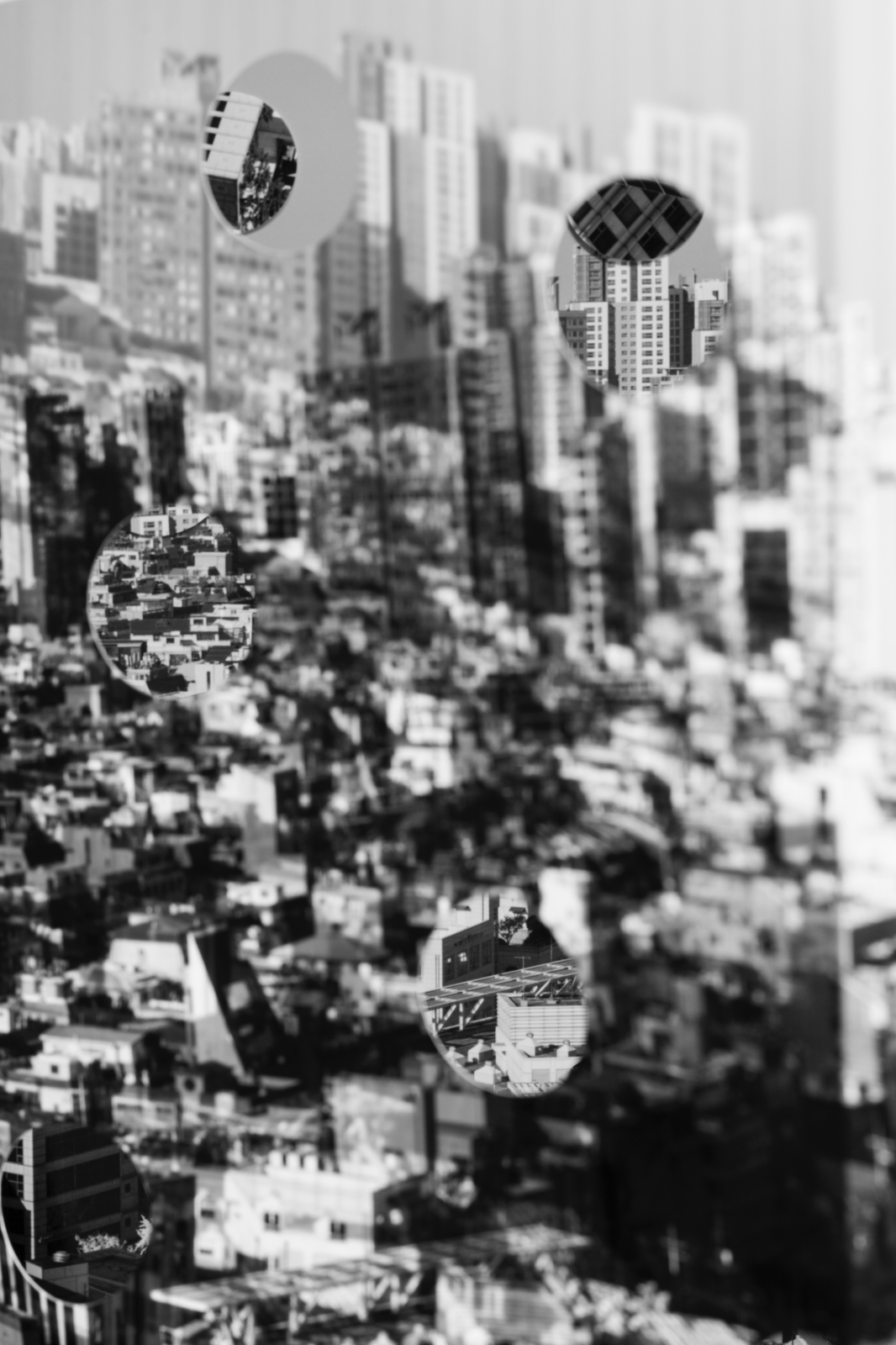 POLYSEMIC FUNDUS / SEOUL #02
