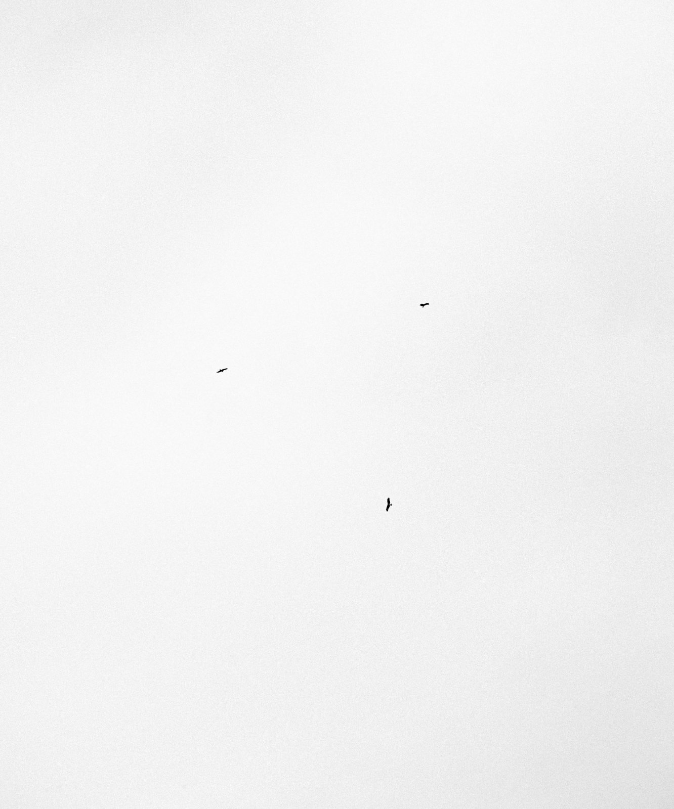 Hovering dots #002