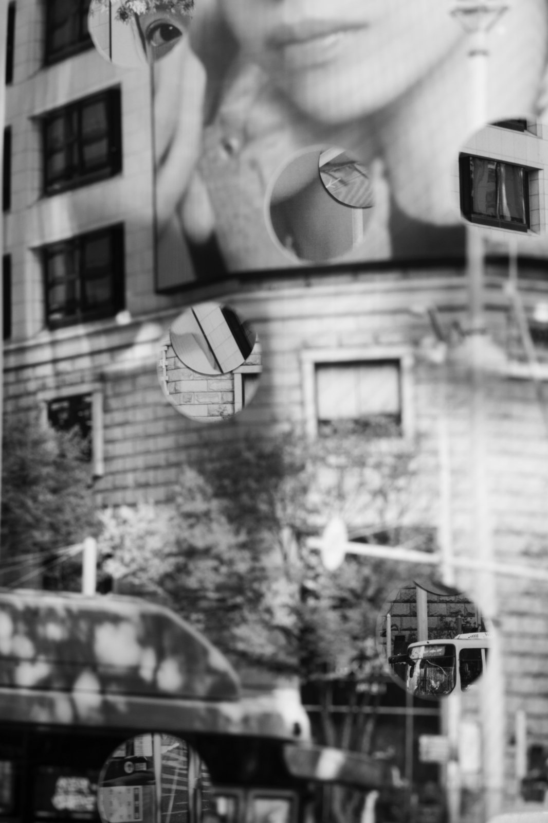 POLYSEMIC FUNDUS / SEOUL #01