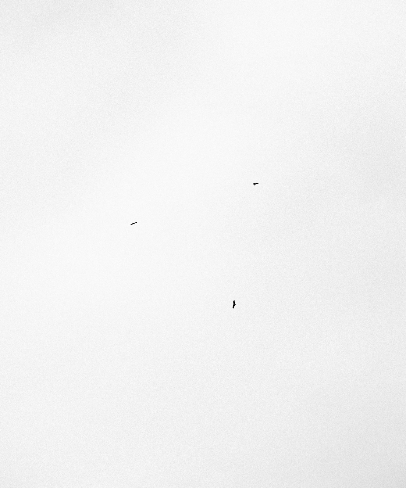 Hovering dots #002