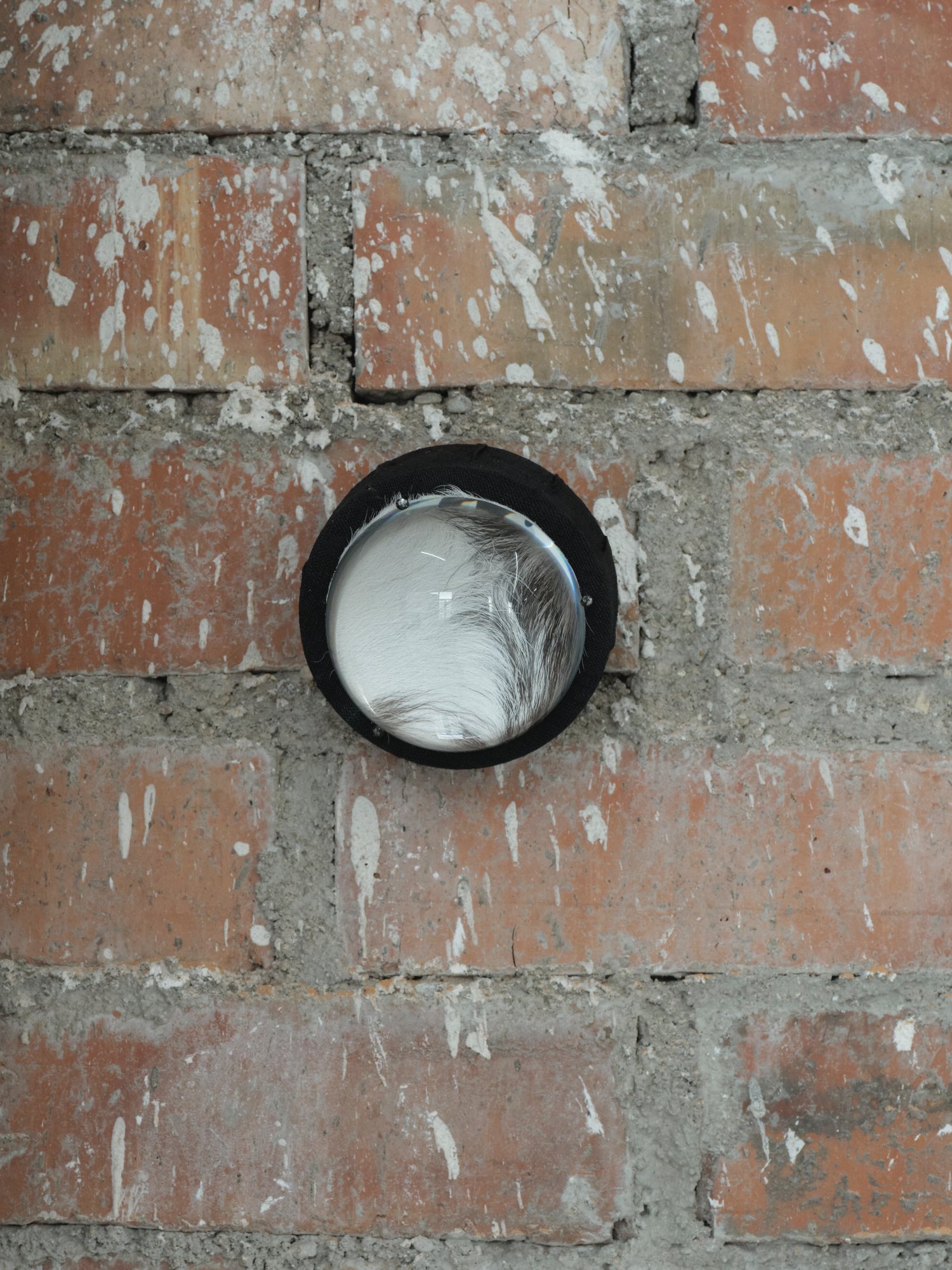 Vomitoria (passageways)