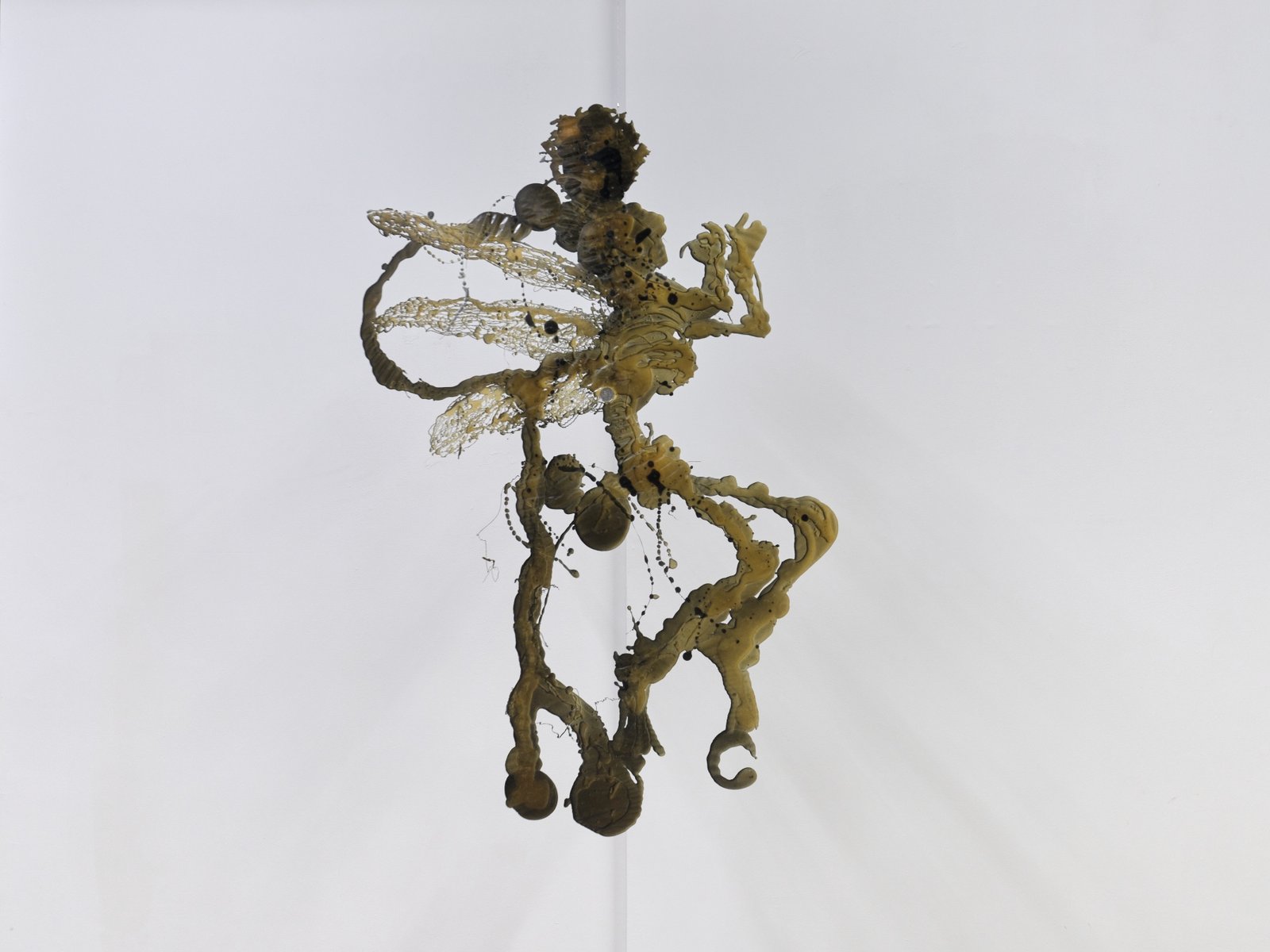Mycelia crore