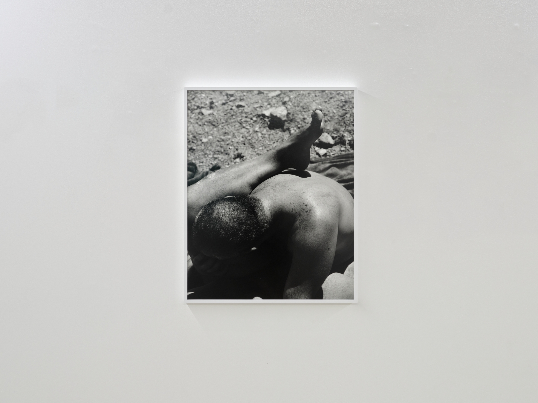 Untitled