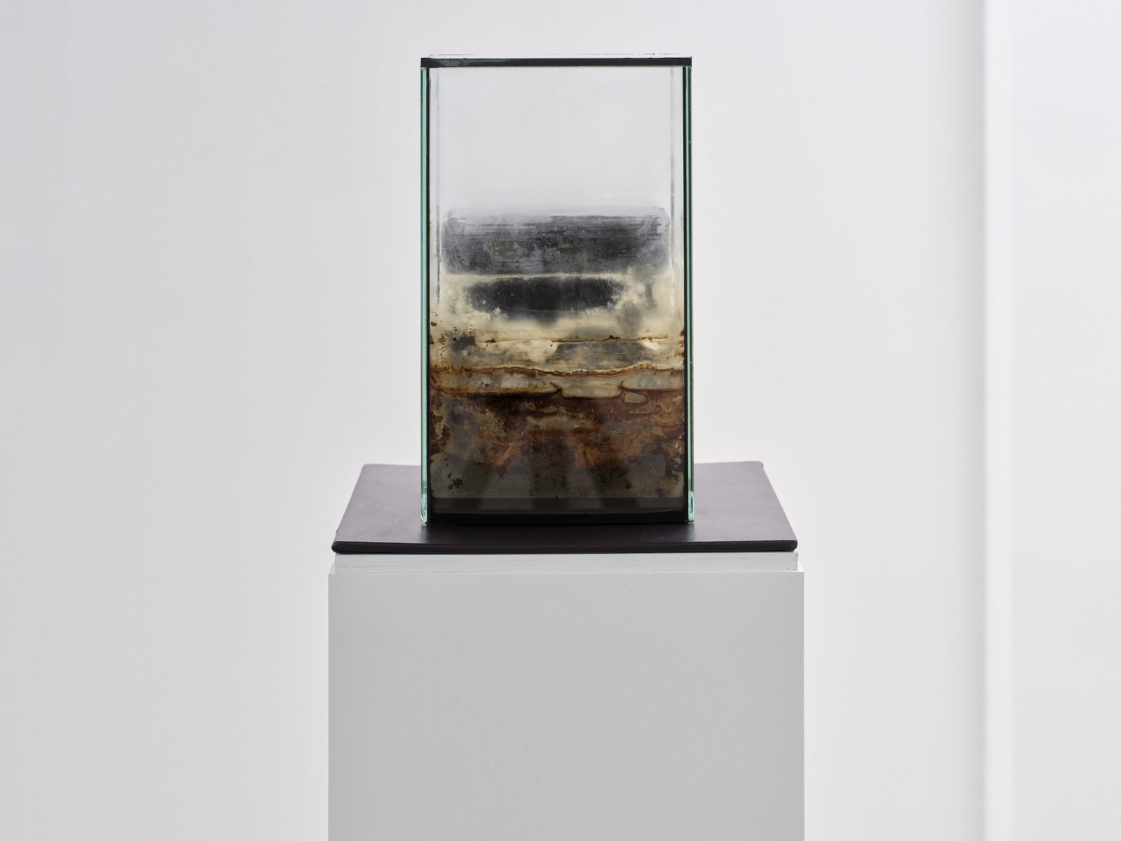 The Clinician’s Mirth, 의사의 웃음