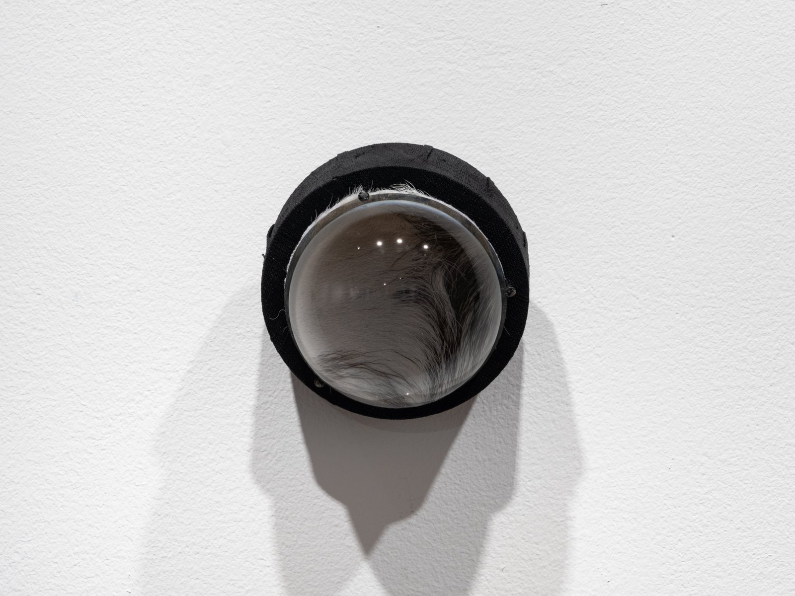 Vomitoria (passageways)