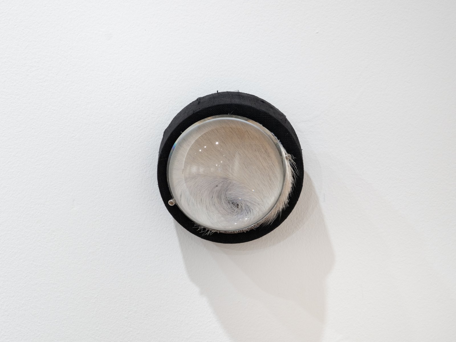 Vomitoria (passageways)