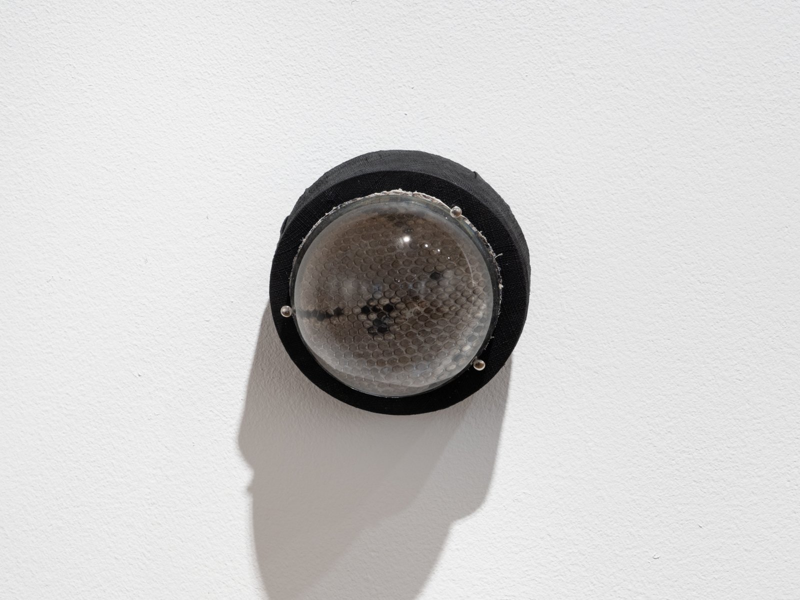 Vomitoria (passageways)