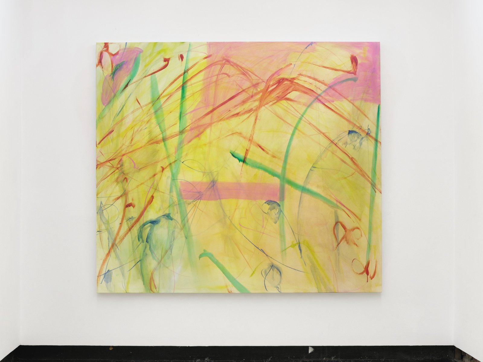 Spring Onions and Mountains