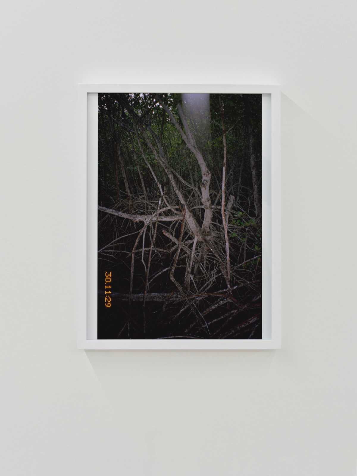 Trees no.02