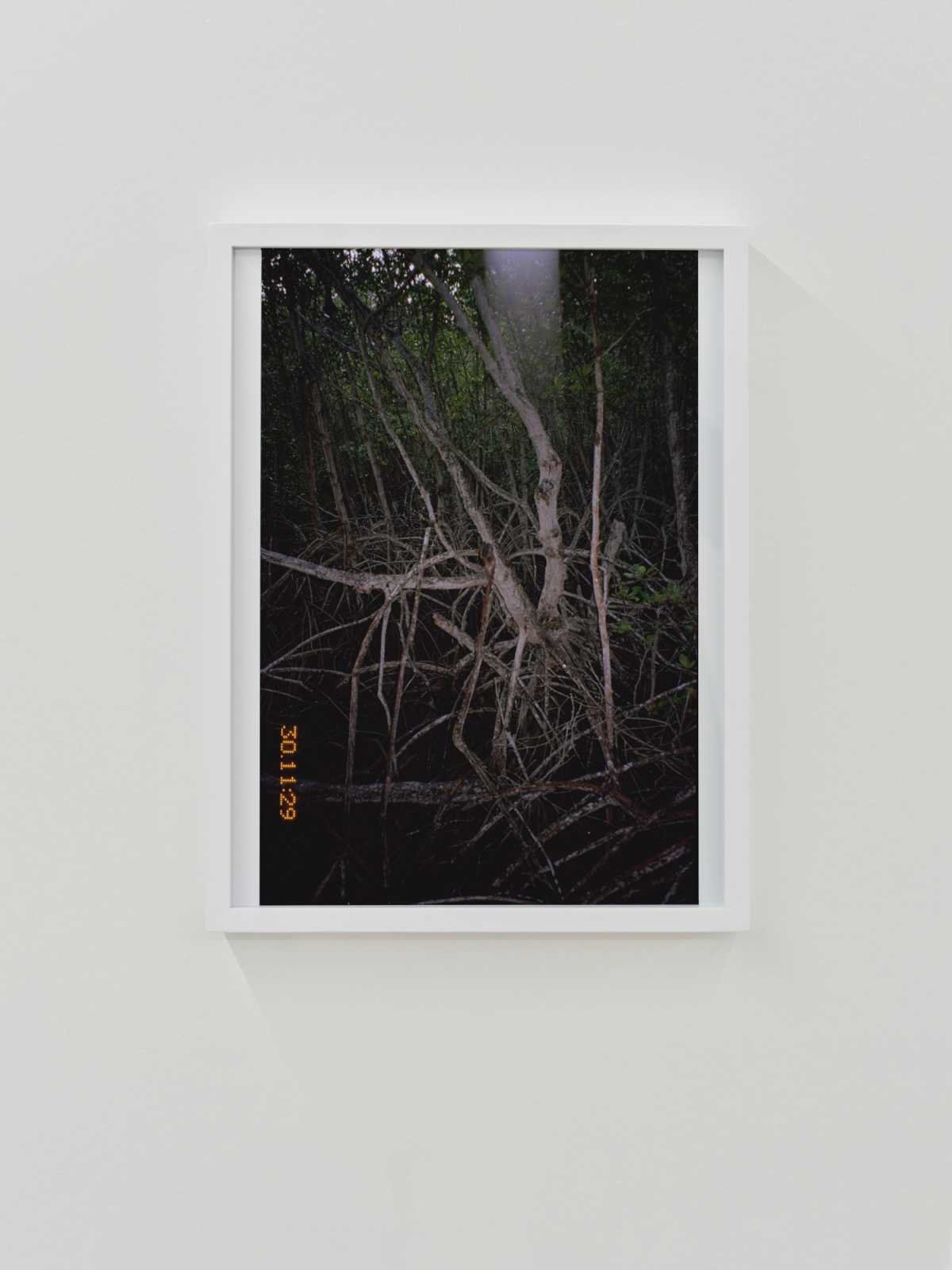 Trees no.02