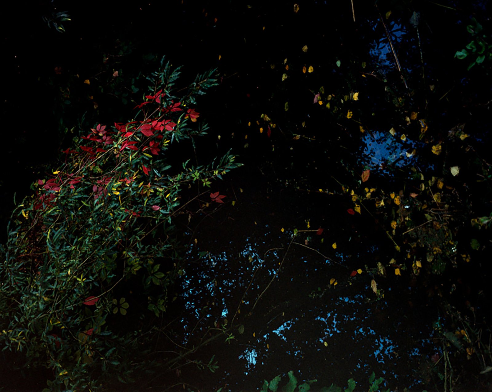 Fall1