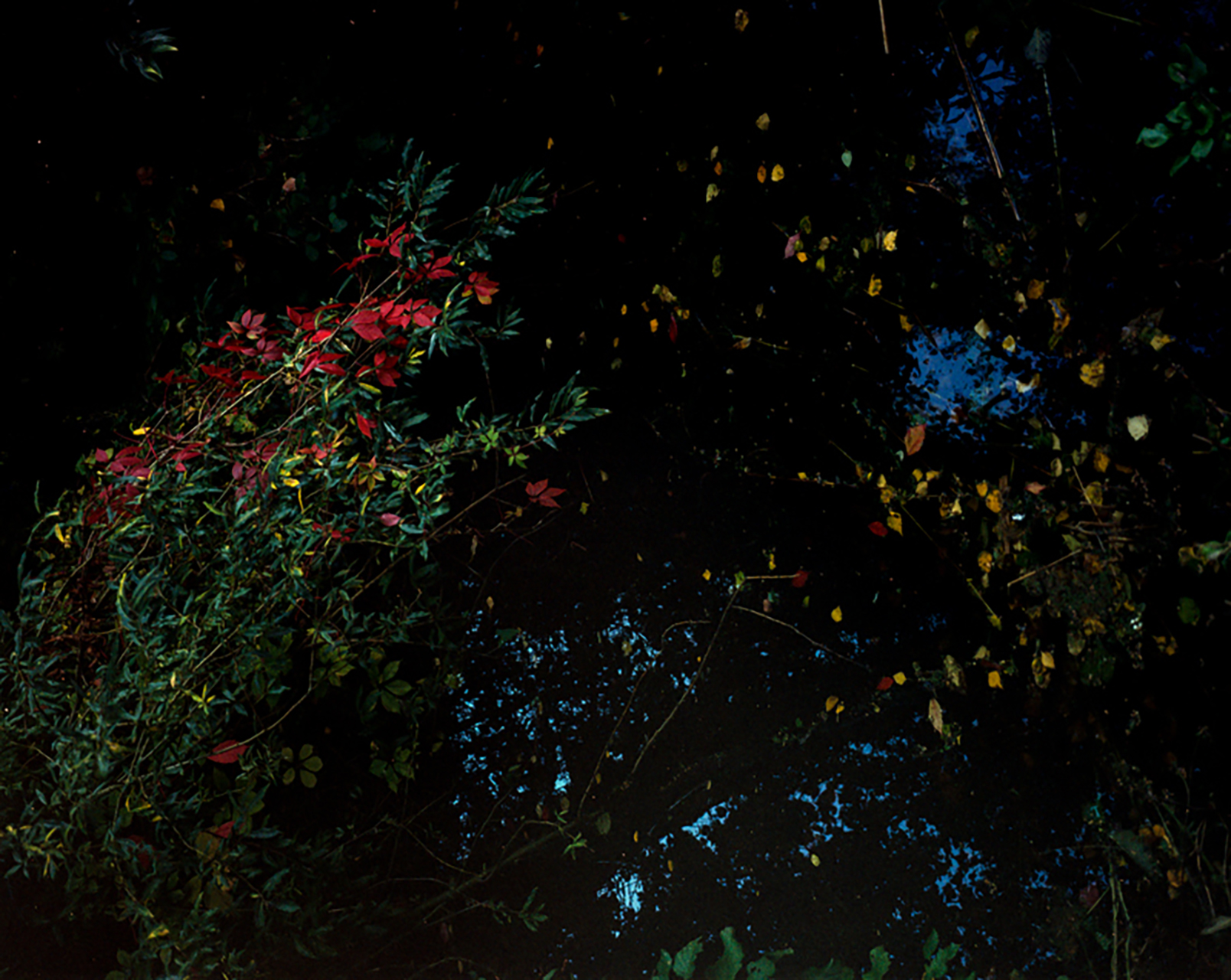 Fall1