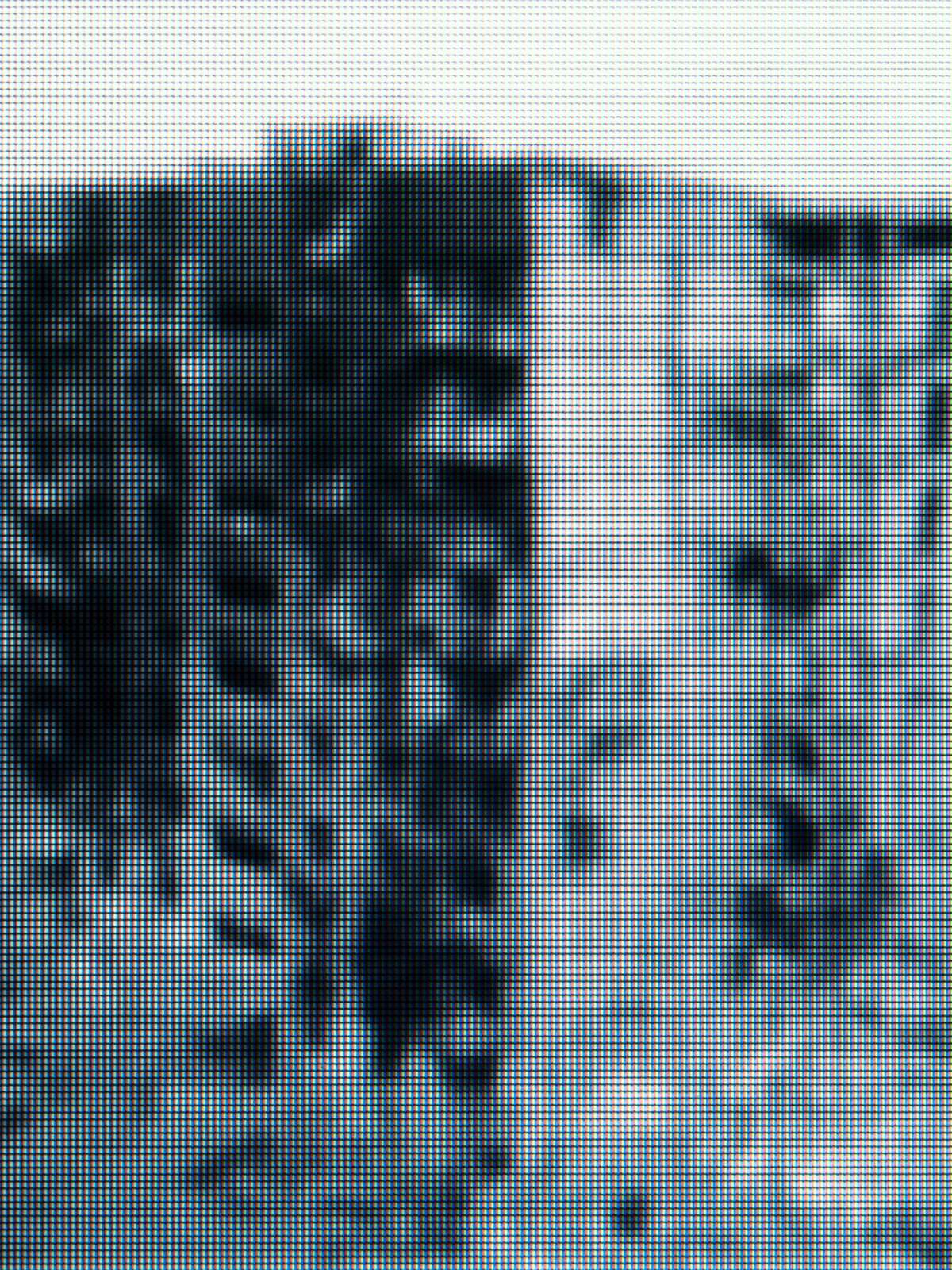 The Unknown No.17