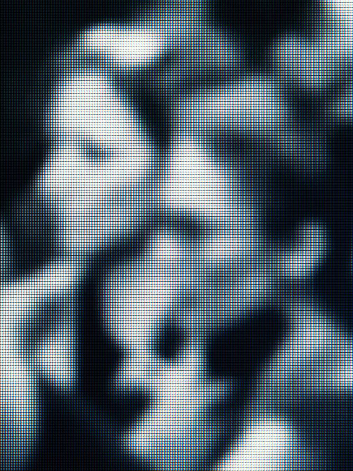 The Unknown No.13