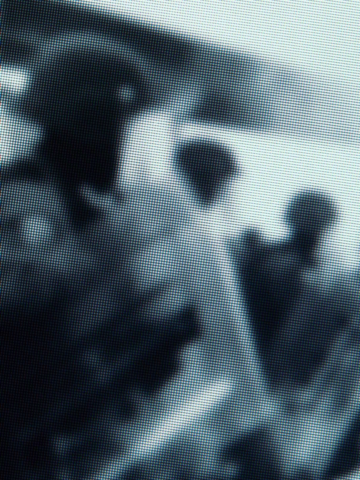 The Unknown No.19