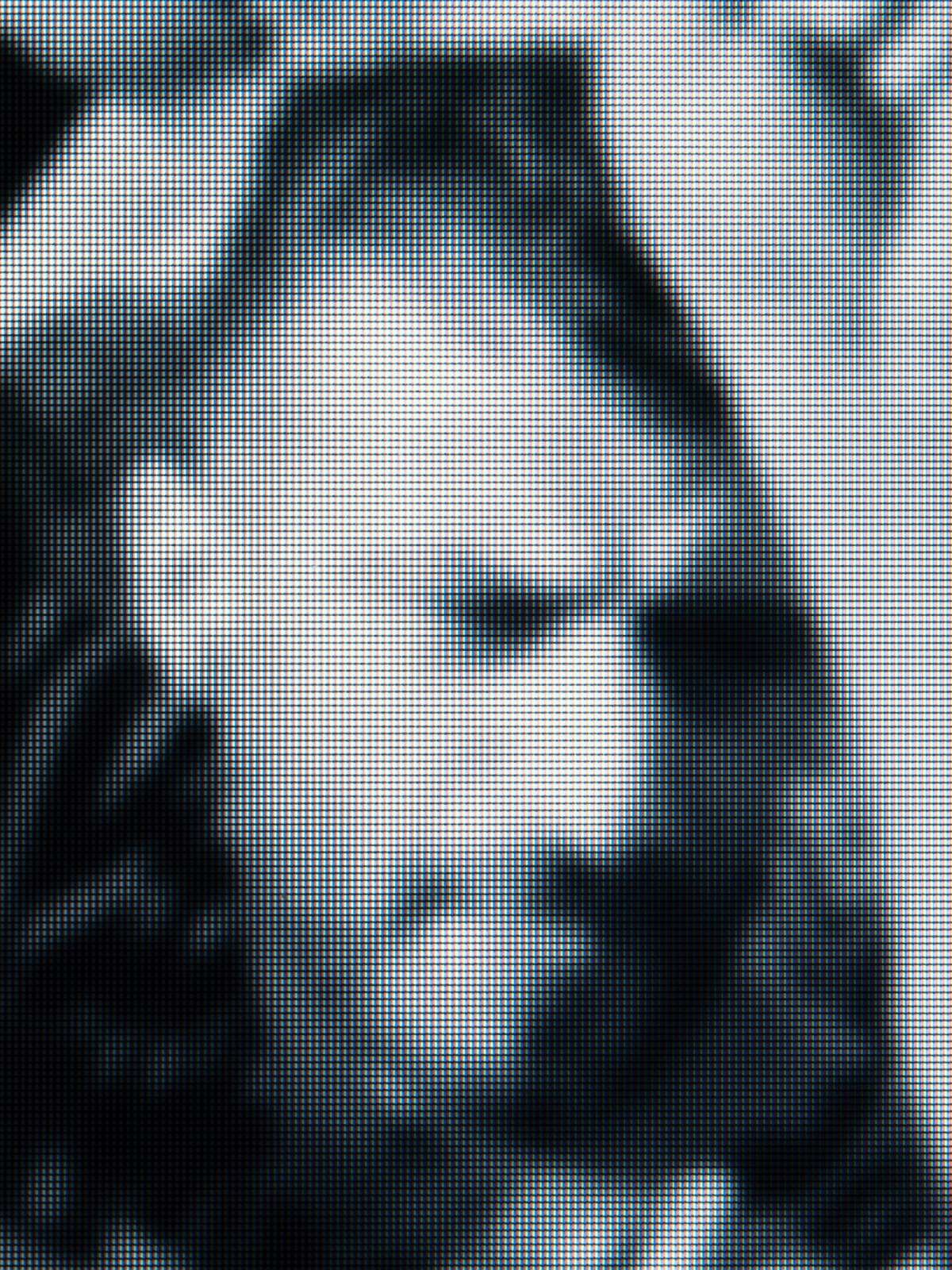 The Unknown No.20