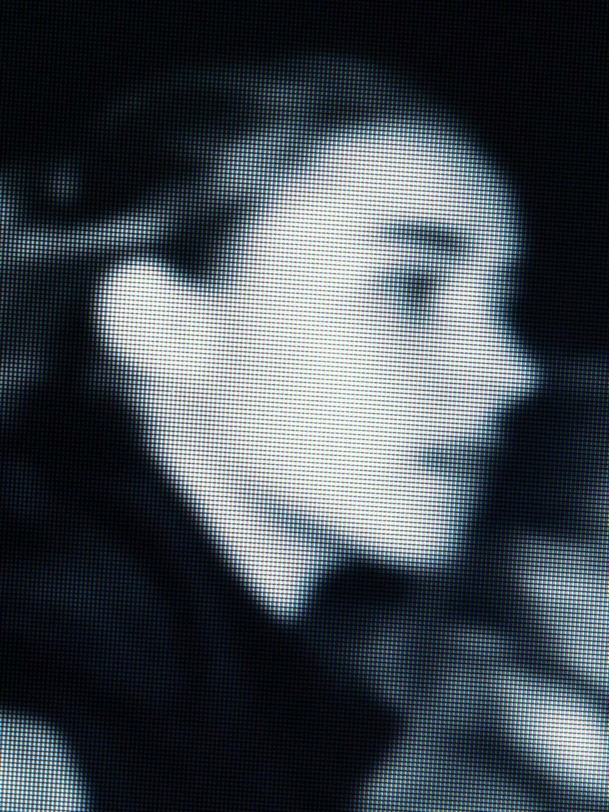 The Unknown No.16