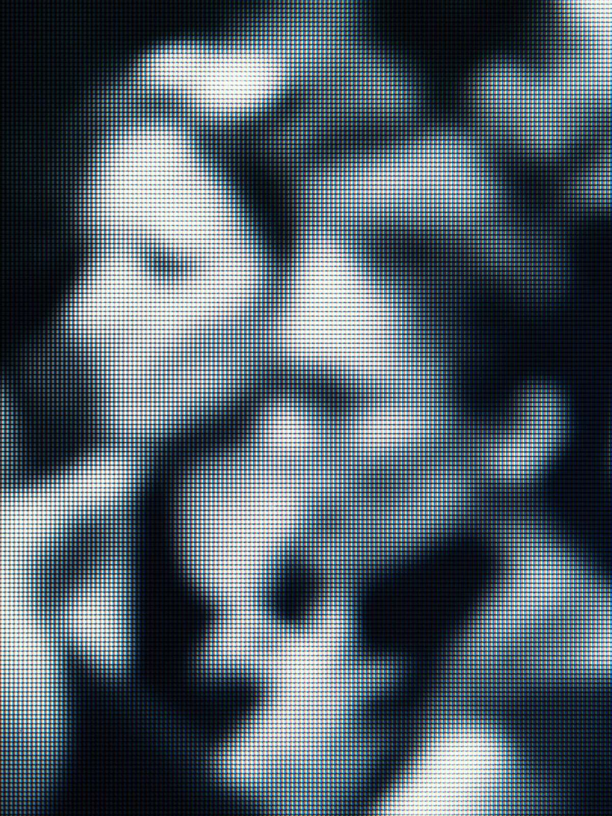The Unknown No.13